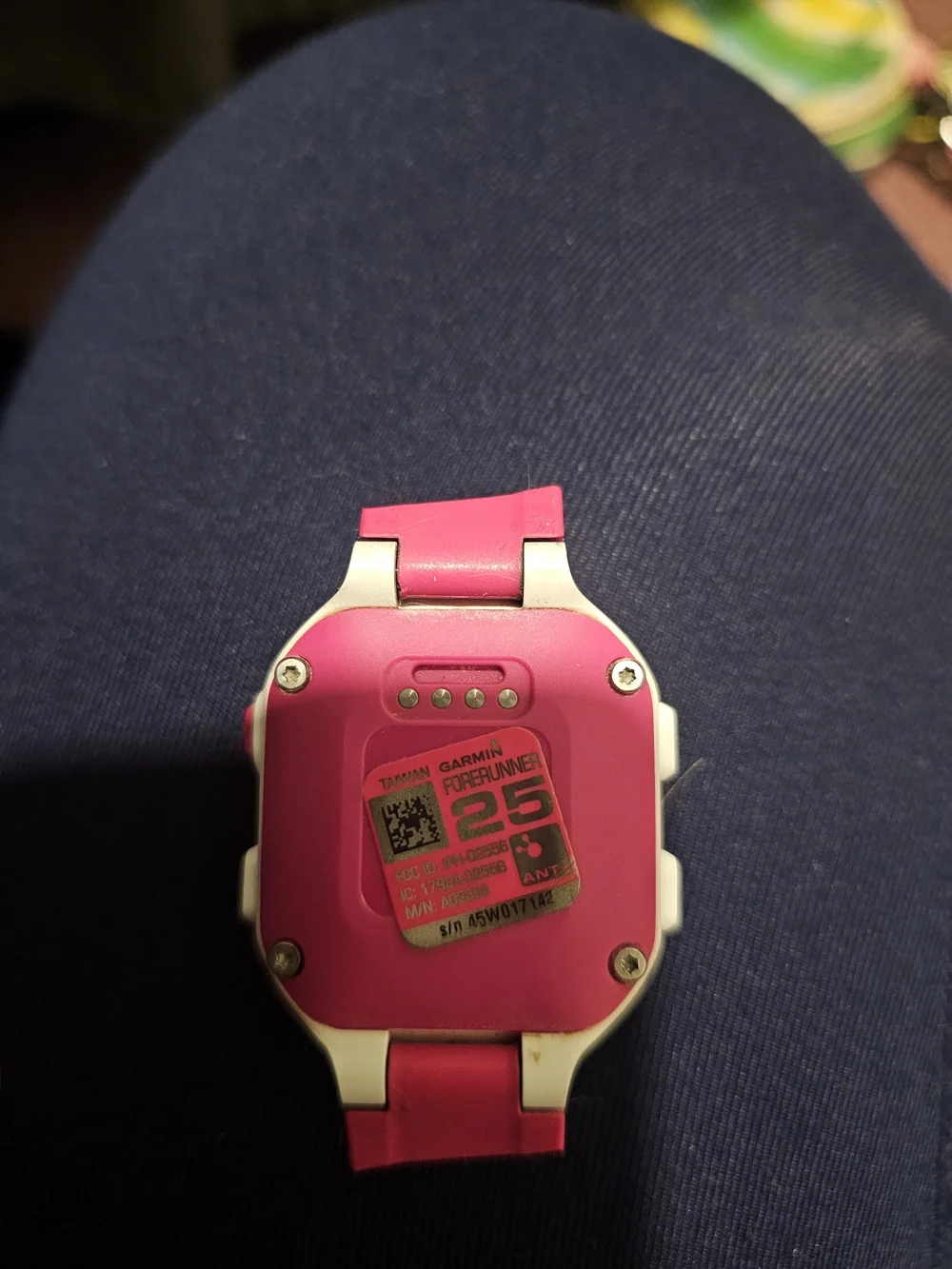 Garmin Forerunner 25 With GPS